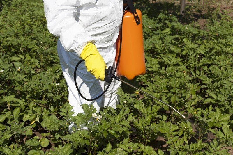 Токсичные гербициды и инсектициды