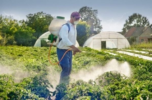 Пестициды гербициды инсектициды фунгициды