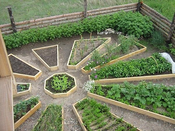 Дизайн огорода с грядками
