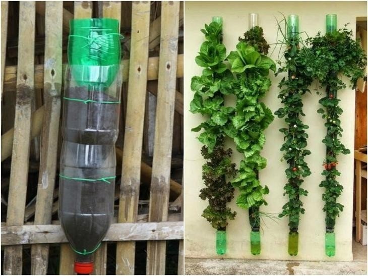 Вертикальное озеленение из пластиковых бутылок