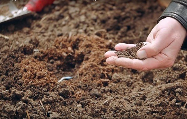 Загрязнение почвы удобрениями