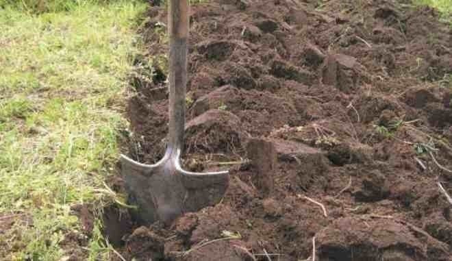 Глинистая почва перекопка