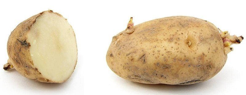 Мытый картофель