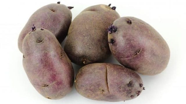 Картофель Чёрный принц: описание и выращивание сорта
