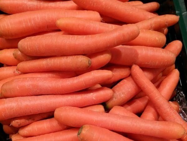 Сорта моркови санькина любовь