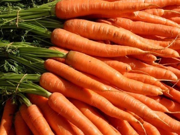 Морковь жане де добс