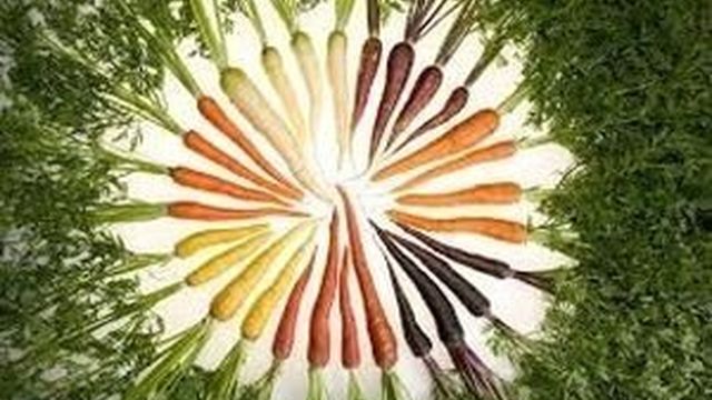 Почему темнеет тертая морковь