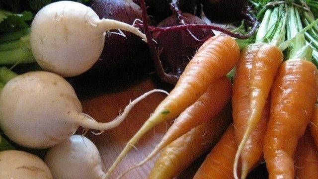 Правила прореживания корнеплодов. Как прореживать свёклу, морковь, петрушку, редис?