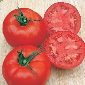 Сорт помидоров толстячек