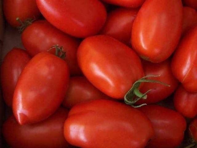 Ракета красная томат