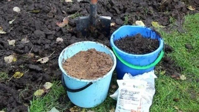 Удобрение для огорода весной универсальное: что использовать для подготовки почвы к посадке