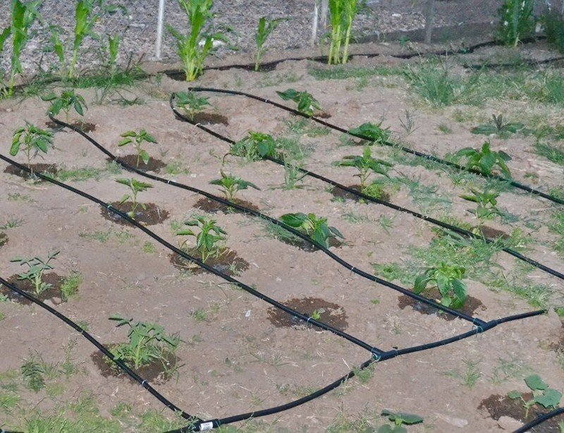 Поливная система для огорода своими руками из подручных материалов