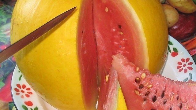 Как вырастить арбуз с желтой мякотью