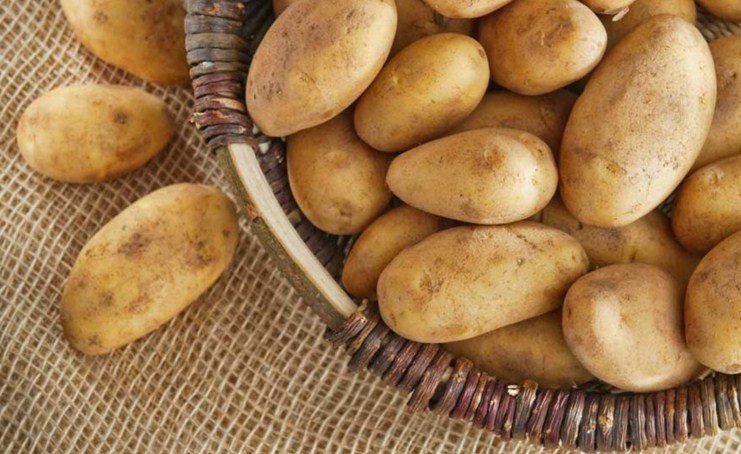 Сорт картофеля колетте