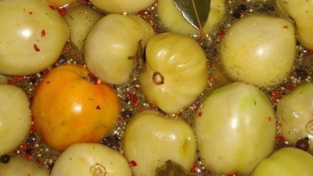 Маринованные зеленые помидоры как в СССР